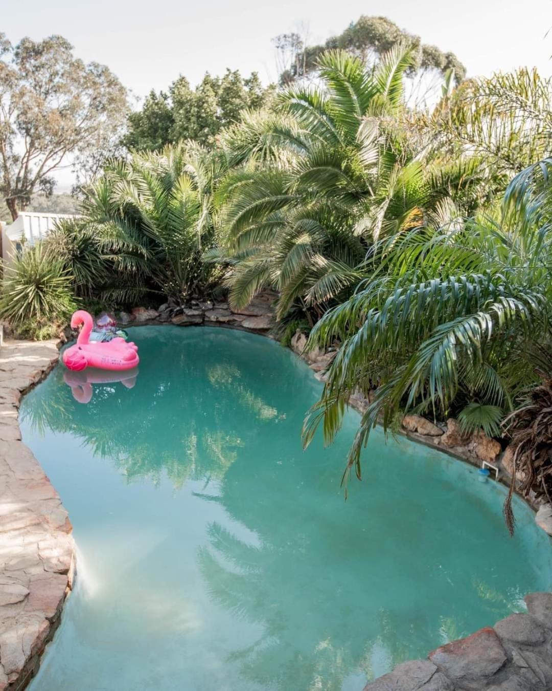 קייפטאון Thyme Wellness Spa And Guesthouse מראה חיצוני תמונה